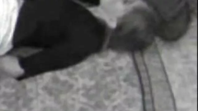 Brunette se fait baiser par un homme adulte et son video x fille black ami