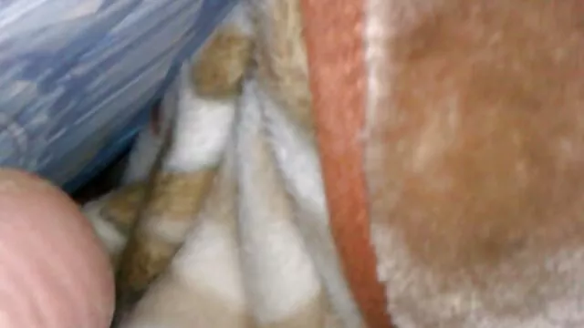Une blonde sexy a sucé une bite avec film porno francais video de la salive et l'a insérée dans l'anus