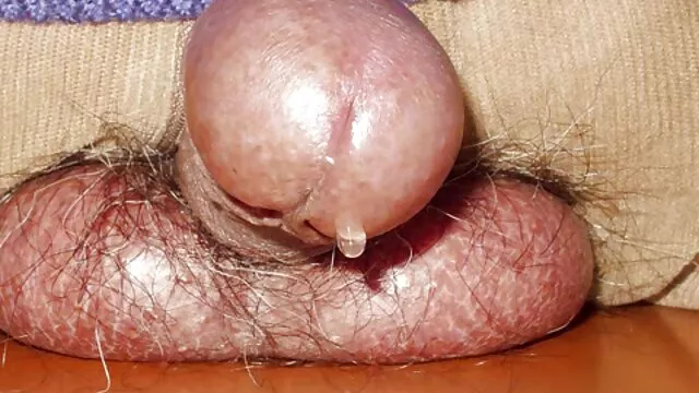 Les seins de vidéo x black gratuit Julia et la bite de Thomas